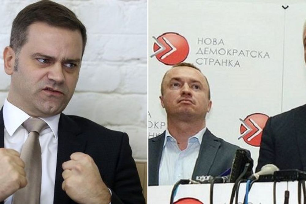 Stefanović opleo po bivšim kolegama: Tadić i Pajtić su ko Topalovići, glas za njih je bačen!