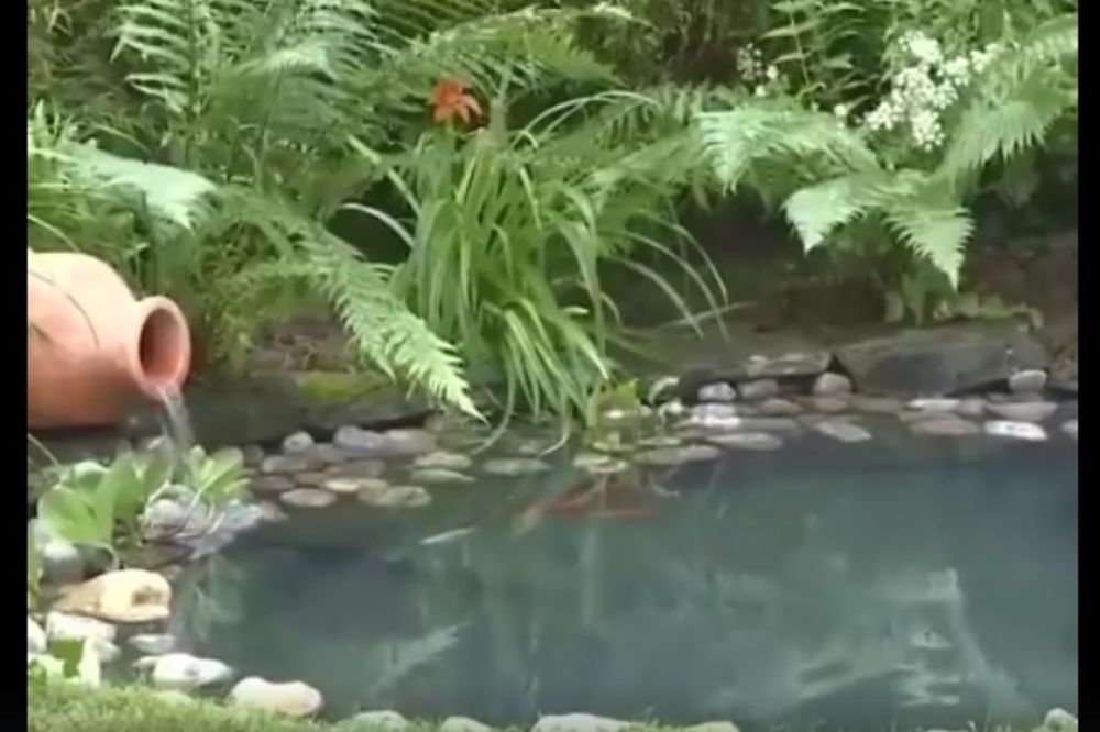 Napravite sami jezerce u svojoj bašti za manje od 20 minuta (VIDEO)
