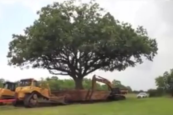 Tako to rade Nemci: Grade put, ali čuvaju okolinu! (VIDEO)