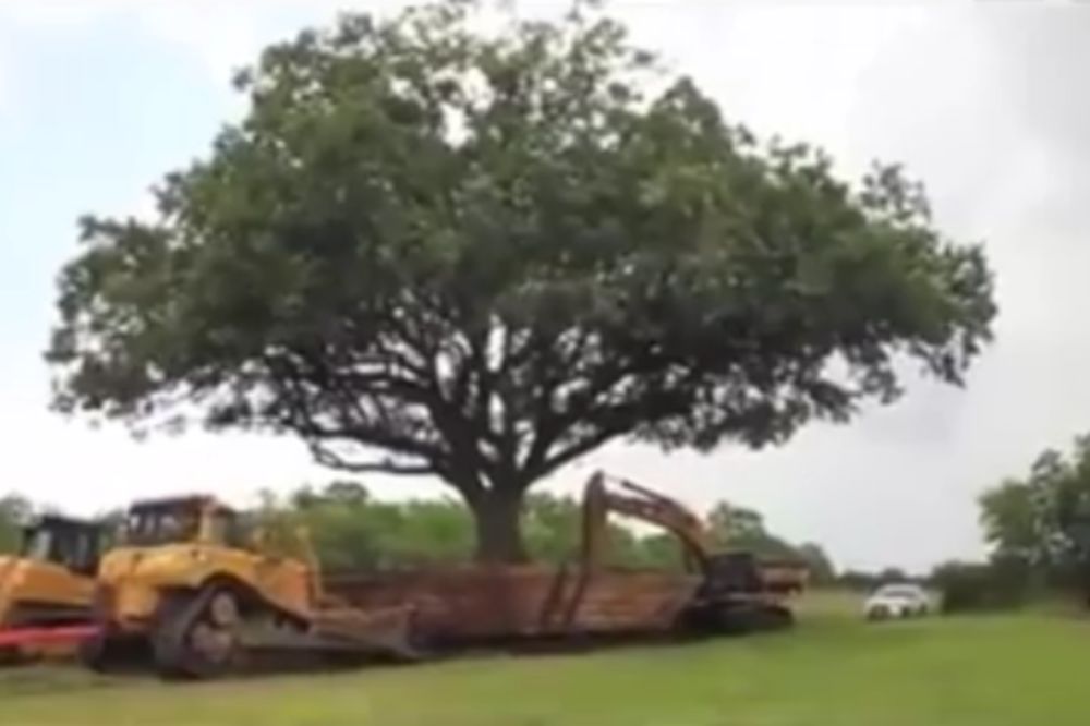 Tako to rade Nemci: Grade put, ali čuvaju okolinu! (VIDEO)