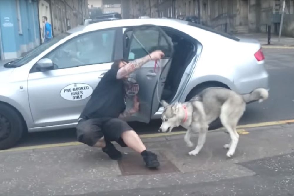 Pijani padovi: Da li je ovo najsmešniji video koji postoji na netu? (VIDEO)