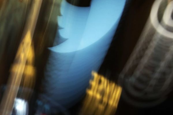 Kako da zaštitite podatke na internetu? Mali Bugarin ima rešenje za vas! (GIF)