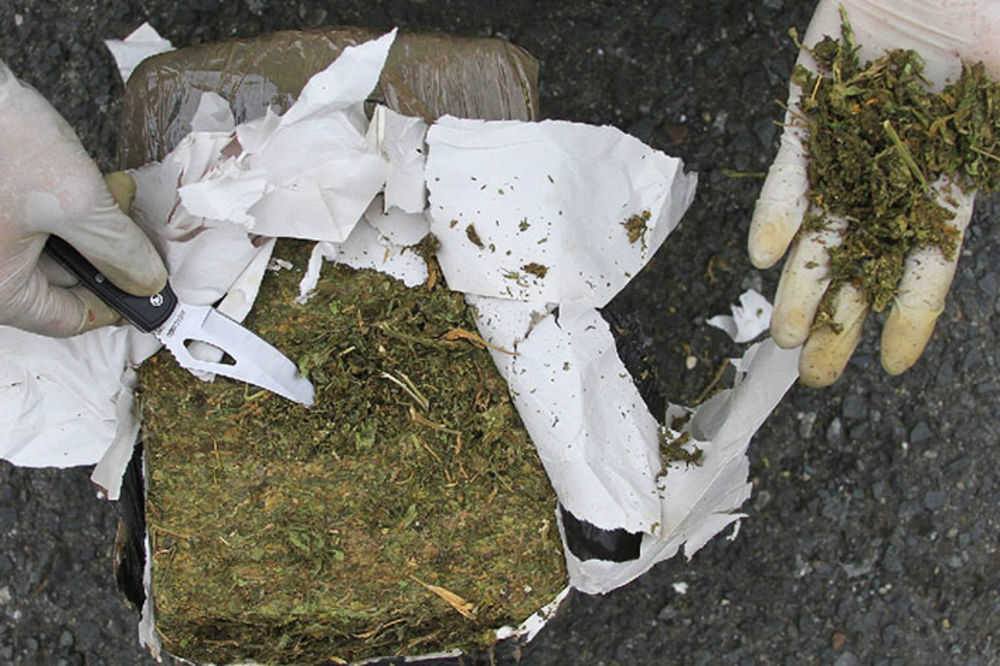 Crnogorska policija zaplenila 180 kilograma skanka u blizini granice sa Albanijom