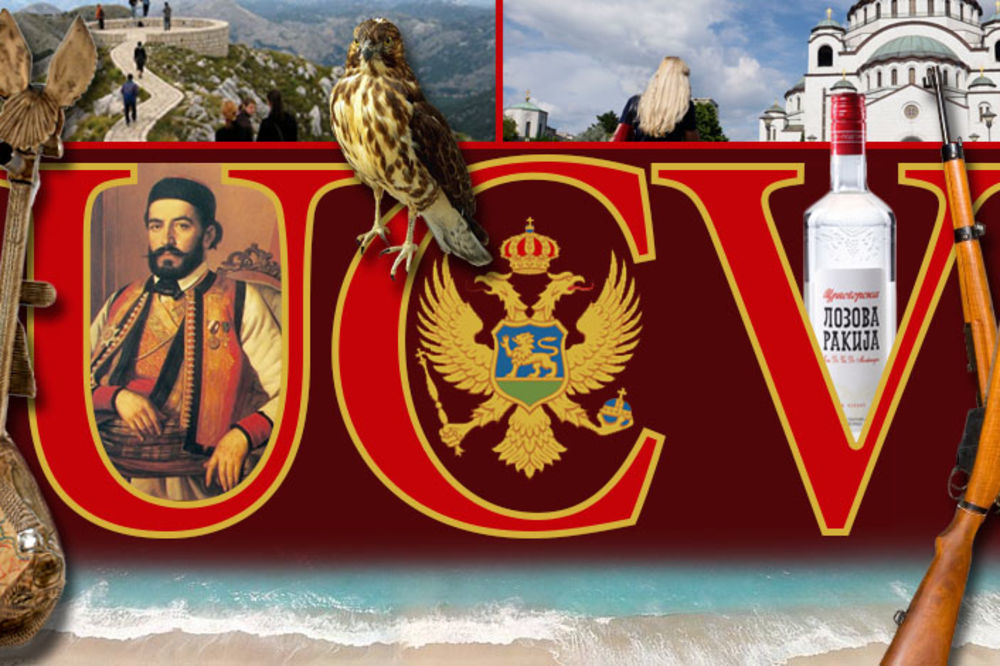 Glasajte za mene! Uradio sam ono što može svako od vas, probajte! (FOTO) (VIDEO)