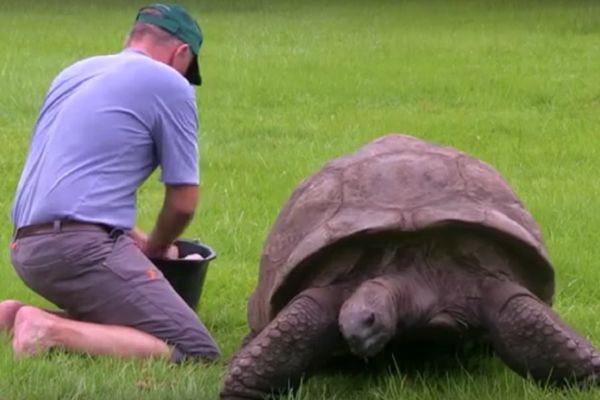 Nije se okupao 184 godine?! Zamislite koliko mu je sada lepo! (VIDEO)