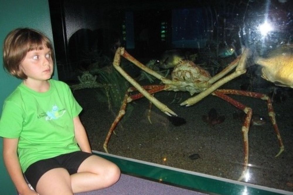 Hajde da se kladimo: Da li možete da izgurate ovaj članak do kraja, a da ne izgovorite NE?