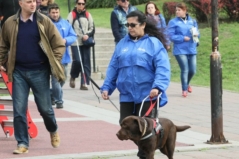 I kuce mogu na glasanje: Slabovidima dozvoljeno da na biračko mesto dođu sa psom vodičem