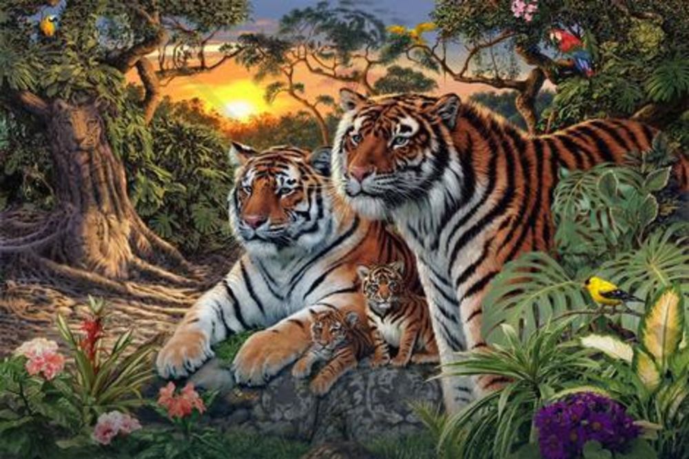 Vidite samo 4 tigra? Ima ih šesnaest. Čik ih pronađite! (FOTO)