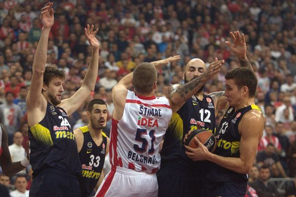 Šta je Bogdan tražio od Štimca za to što je odveo Zvezdu u Top 8! (FOTO)