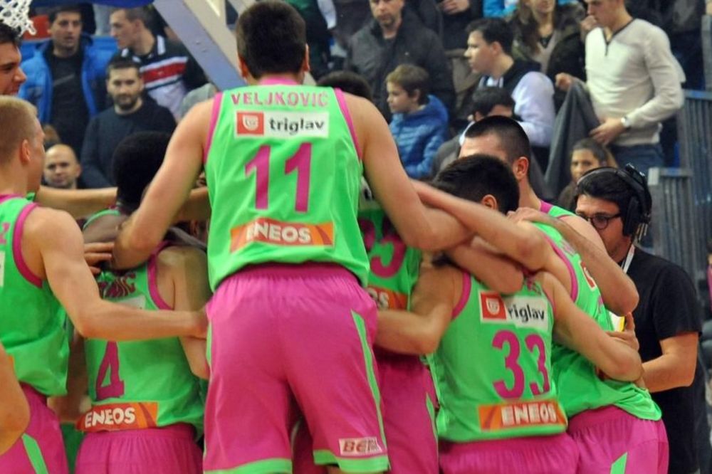 Povećana crnogroska kolonija u Mega Leksu! (VIDEO)