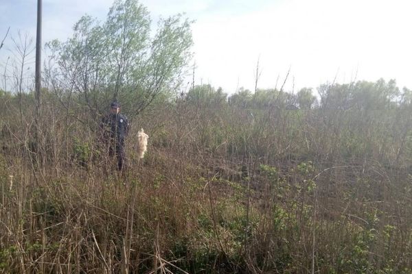 Jeziv prizor: Na ovom mestu je policija pronašla beživotno telo Jelene Krsmanović! (VIDEO)