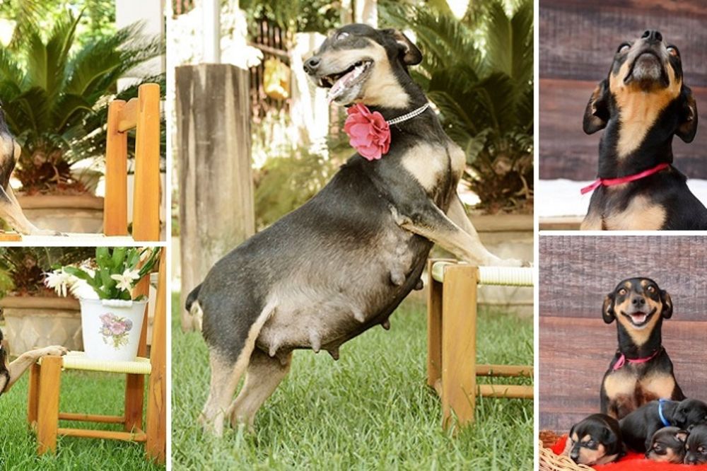 Ovako izgleda majka koja je upravo na svet donela petoro divnih potomaka! (FOTO)