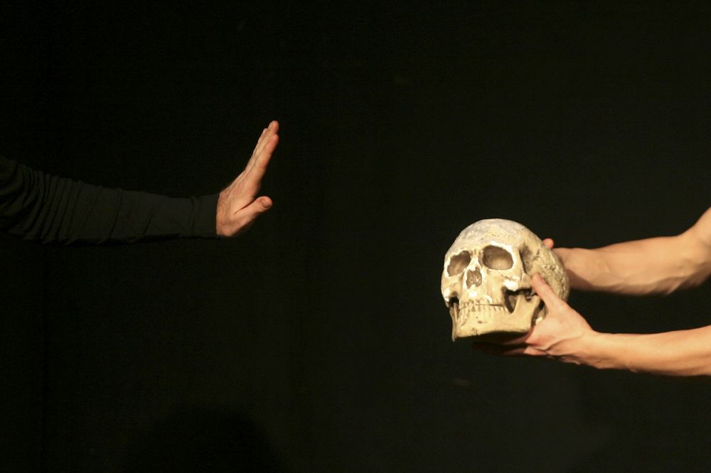 Kupio lobanju na ulici, pa krenuo na put s njom u koferu! (GIF)