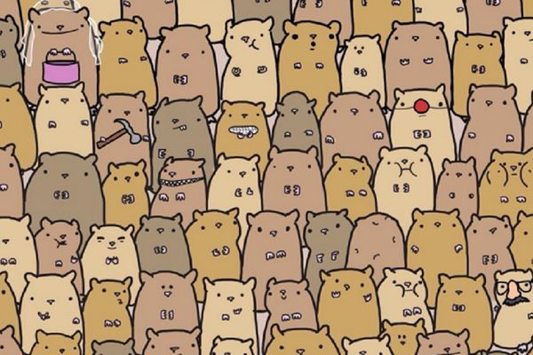 Nova mozgalica: Da li vidite krompir u moru hrčaka? (FOTO)