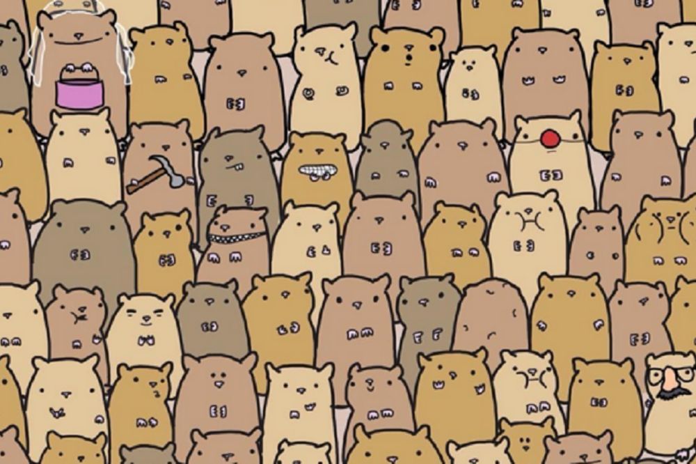 Nova mozgalica: Da li vidite krompir u moru hrčaka? (FOTO)