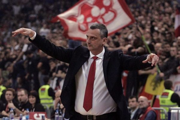 Radonjić otkrio da jedan od najboljih igrača Zvezde propušta utakmicu u Zagrebu! (FOTO)