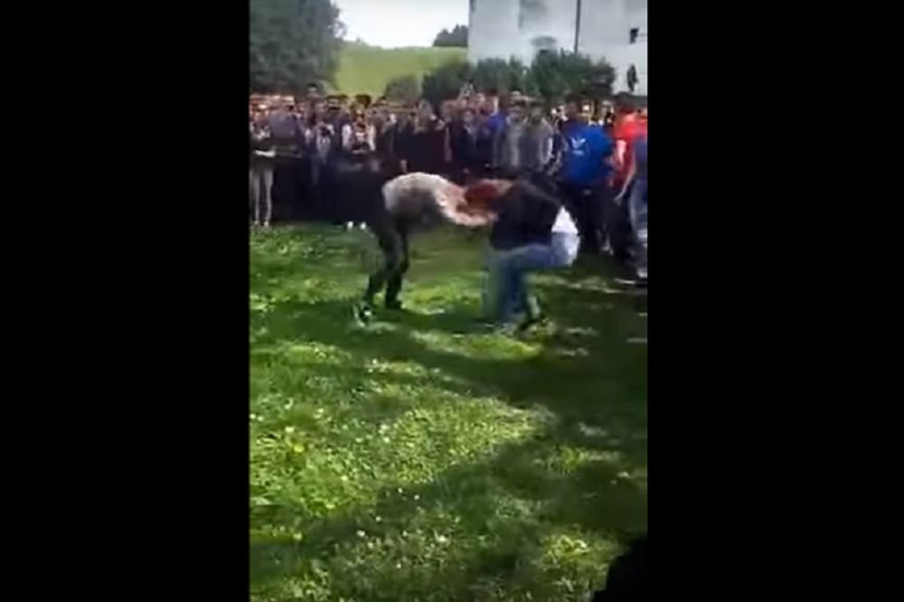 Boleštija u Hrvatskoj: Pet devojaka potuklo se u Varaždinu, a preko 50 srednjoškolaca gledalo i snimalo telefonima (VIDEO)