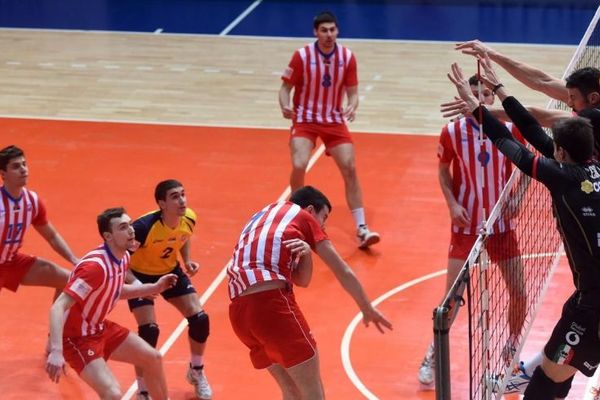 Zvezdi prvi večiti derbi u polufinalu! Crno-beli vrtić pao posle preokreta!