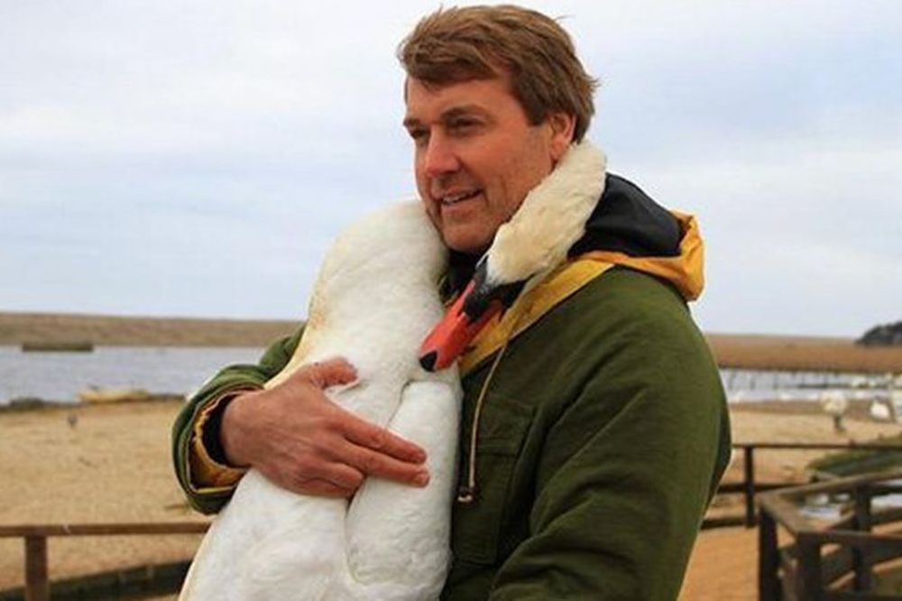 Ima li išta dirljivije od ovog? Pogledajte kako je labud zagrlio čoveka koji mu je spasio život (FOTO)