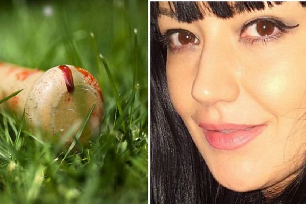 Jezivo: Jelena izubijana na smrt bejzbolkom ili drvenom palicom!