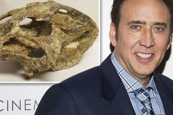 Nikolasu Kejdžu oduzeta skupocena lobanja vredna 230.000 dolara (FOTO)