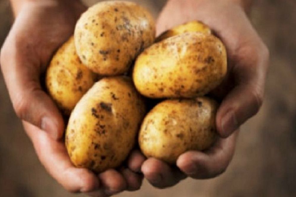 Kada vidite na krompiru ovo, bacajte ga odmah! Taj potez spasiće vam život! (FOTO)