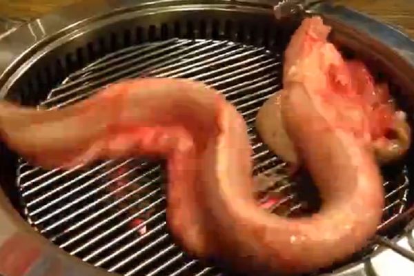 Da li biste klopali živu jegulju? Samo za one s jakim stomakom! (VIDEO)