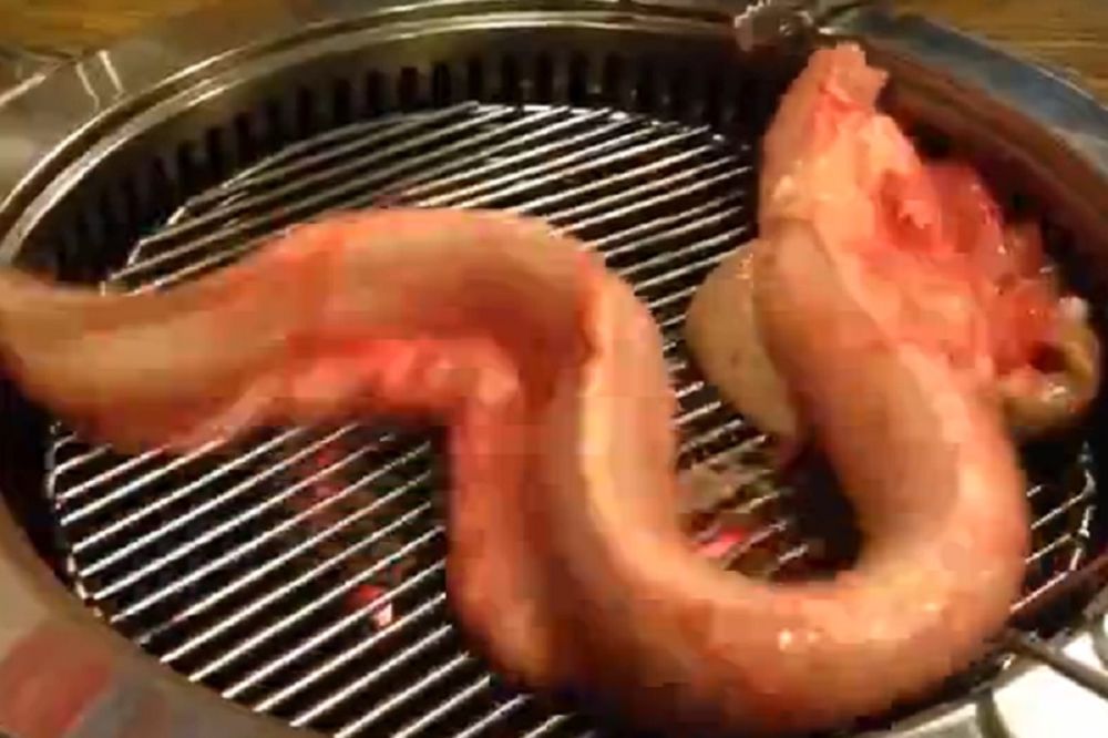 Da li biste klopali živu jegulju? Samo za one s jakim stomakom! (VIDEO)