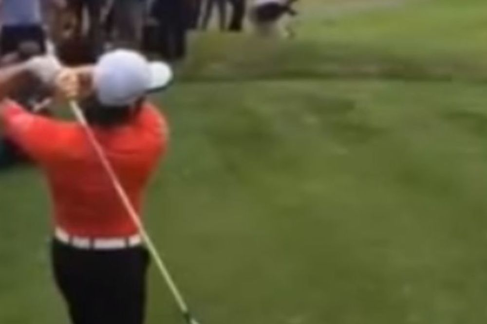 Zidan sumnja u povredu Velšanina: Geret Bejl istegao leđa dok je igrao golf! (VIDEO)