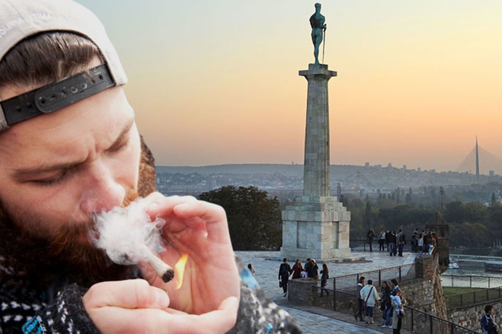 Danas je svetski dan marihuane: 10 razloga zašto treba da probate vutru! (VIDEO) (GIF)