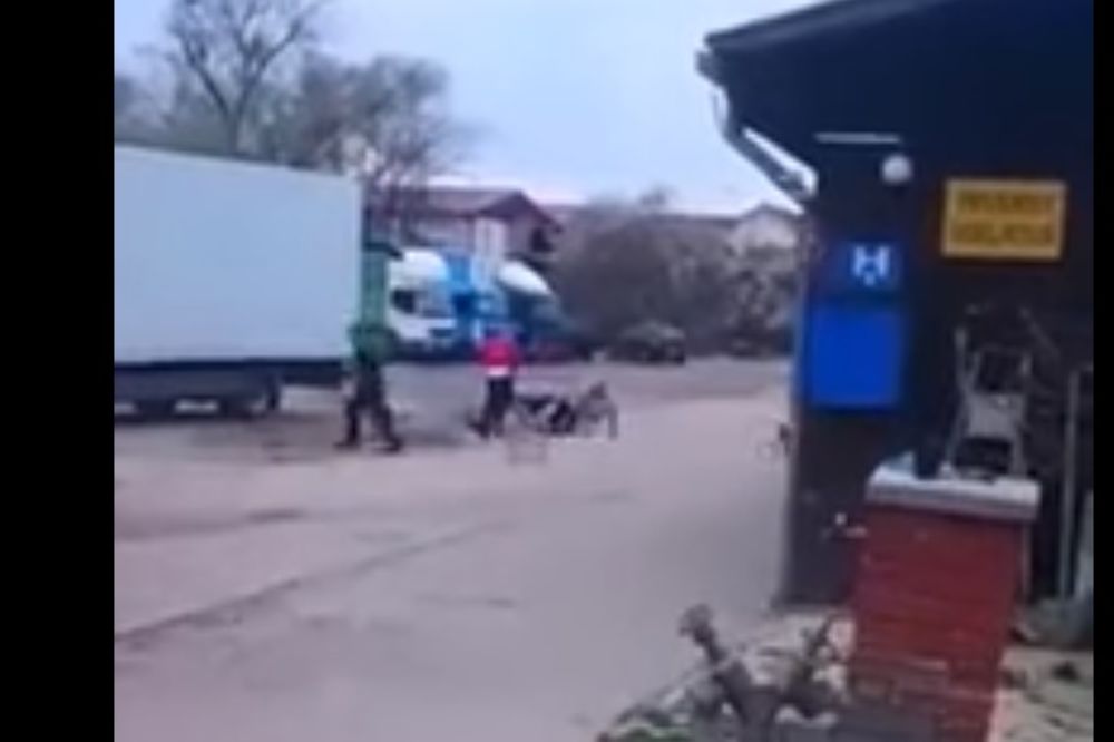 Srpska sramota: Pogledajte kako vlasnik firme i njegov sin krvnički tuku radnika jer se pobunio zbog uslova rada!