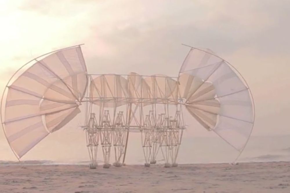 Kao da su žive: Šta pokreće ove zveri sa plaže? (VIDEO)