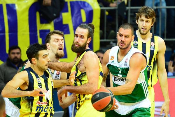 Slomila se kola na Srbima: Posle Đorđevića PAO oterao i Kuzmića i Pavlovića!