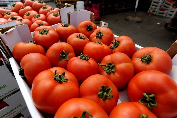 Šta je, zaboga, Beograđanka našla u ovom paradajzu?! (FOTO)