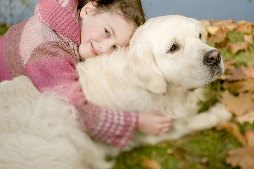 Mama, tata, hoću kucu! Smara vas dete da mu kupite kuče? Evo koliko će vas to koštati! (FOTO) (GIF)
