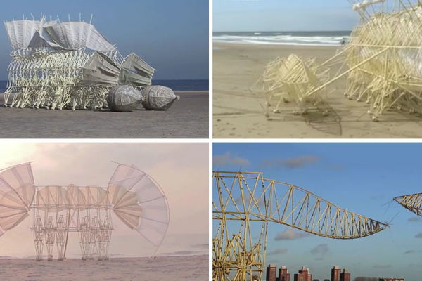 One se kreću uz pomoć vetra i napravljene su od flaša! Pitate se šta je ovo? (VIDEO)