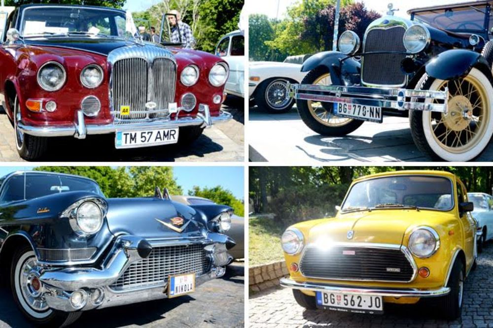 Beograd blista danas: Zveri su izašle na sunce, prošetajte do njih i divite im se! (FOTO)