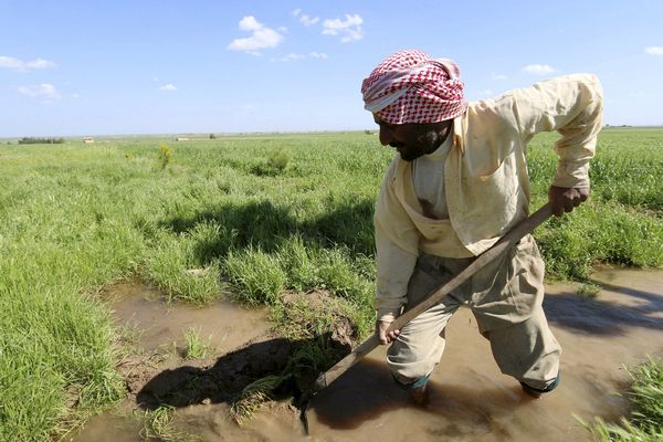 Umiru od gladi: Sirijska kriza preti da ubije milione! (FOTO)