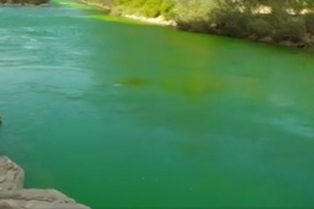 Reke su obojene u fluorescentno zeleno i imaju važnu poruku! (FOTO) (VIDEO)