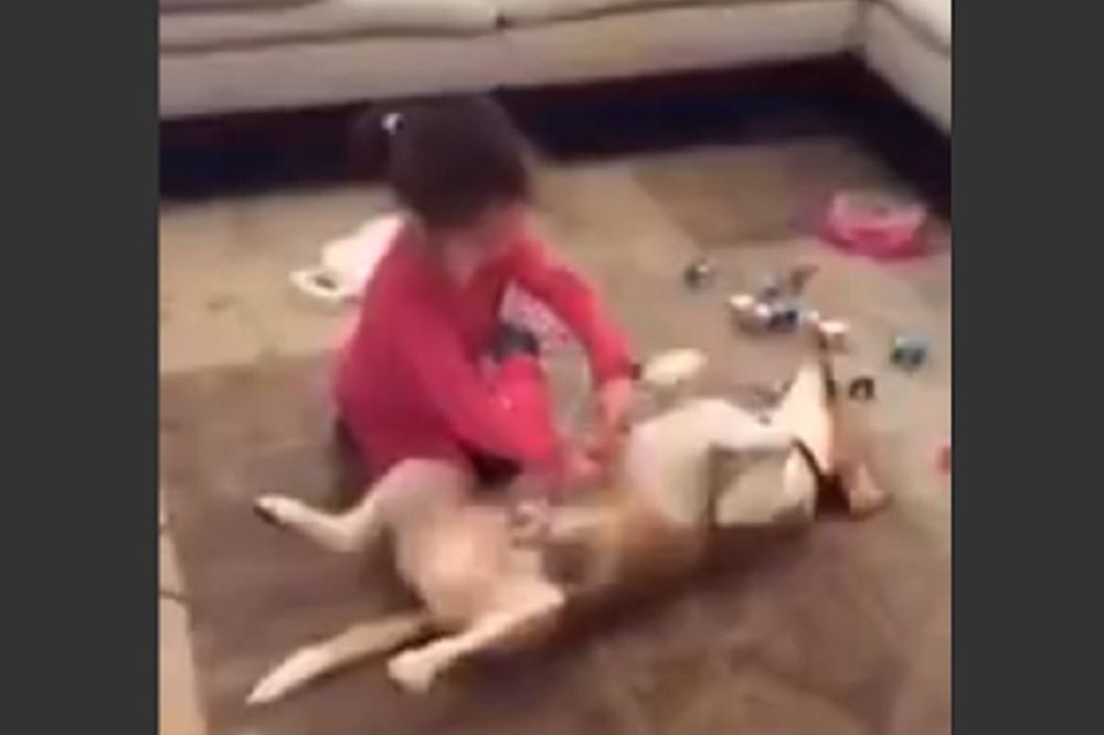 On je najslađi pacijent na svetu, a ona budući lekar! Ako vam ovo ne popravi dan, ništa neće! (VIDEO)