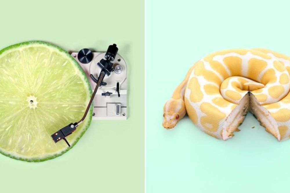 12 fotografija posle kojih ćete biti u fazonu: Šta se bre ovde dešava?! (FOTO)