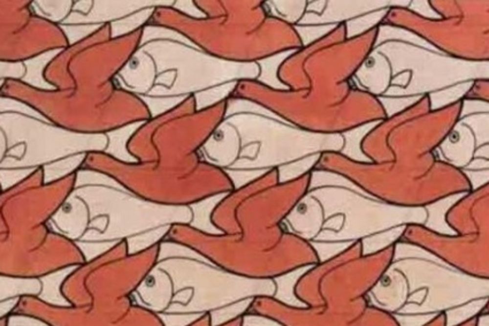 Čik prebrojite! Koliko vidite ptica, a koliko riba na ovoj slici? (FOTO)