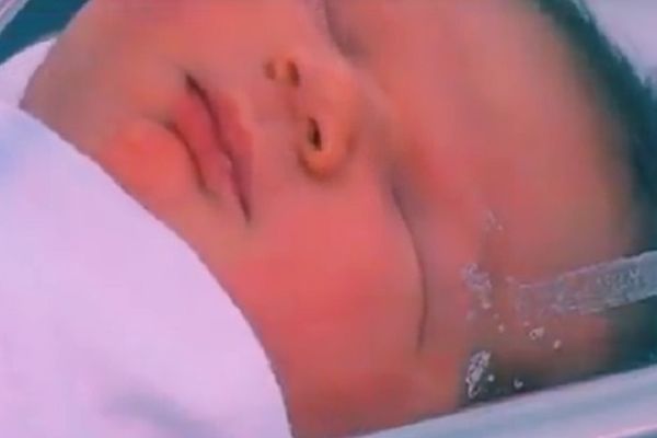 Cela Australija bruji o malom Bosancu: 15 godina nisu videli toliku bebu! (VIDEO)