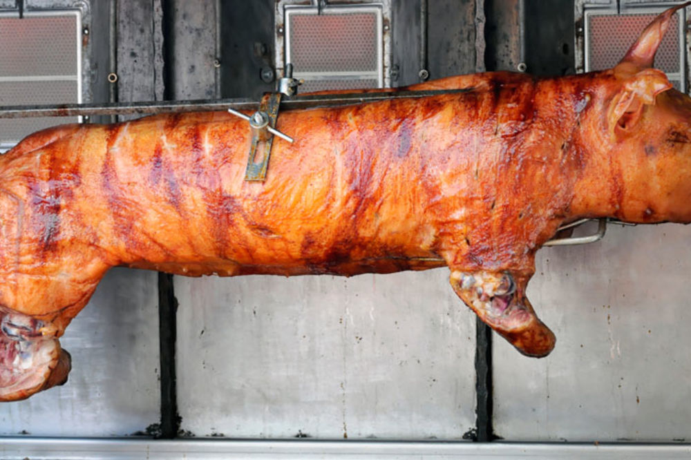 Bik, a u biku jare, a u jaretu prase, a u prasetu pile: A kako ste vi proveli 1. maj? (VIDEO)