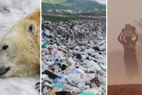 Čovek protiv Zemlje: Kako smo za samo 3 sekunde uništili našu planetu! (VIDEO)
