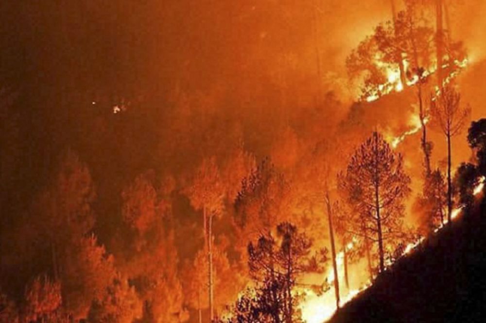 Požari u Rusiji: Gori 45 šuma, 5.900 hektara je zahvaćeno vatrom