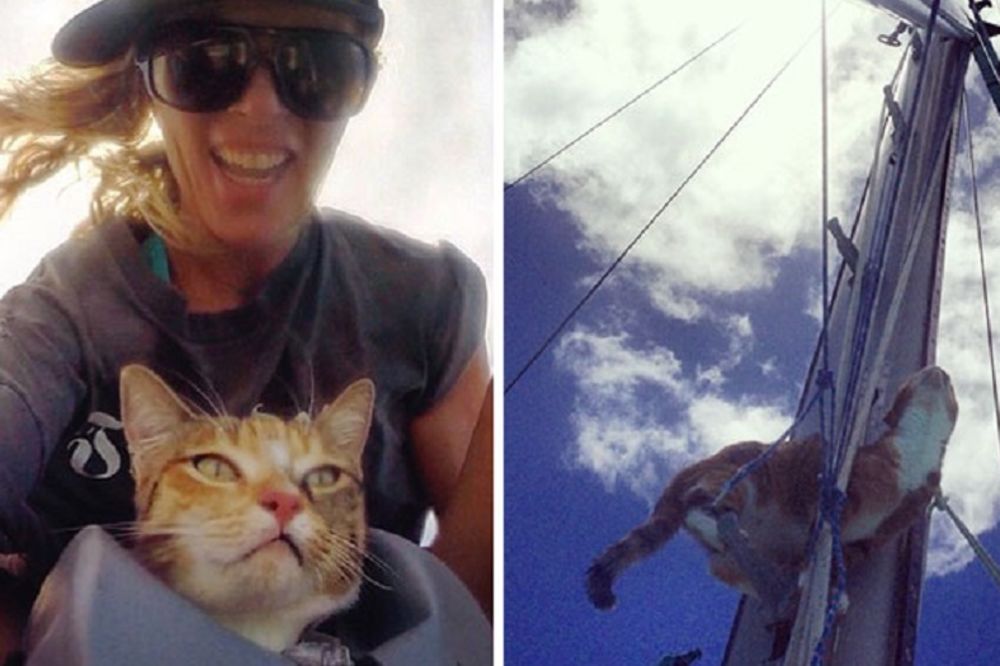 Otkačila je posao i krenula na putovanje: Obišla je pola sveta na jedrilici sa mačkom koju je spasla (FOTO)