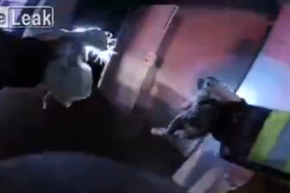 Upali su u buktinju, rizikujući živote, kako bi spasili leglo mačića! (VIDEO)