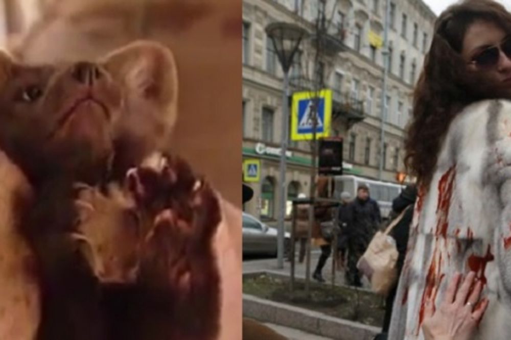 Posle ovog teksta nikad više nećete obući bundu! Da li je moguće da su ljudi ovolike zveri? (UZNEMIRUJUĆI FOTO)