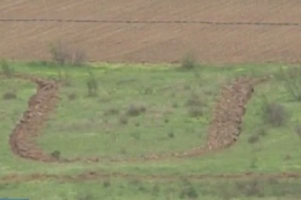 Meštani u šoku: Ustaški simbol urezan nasred srpskog sela (VIDEO)